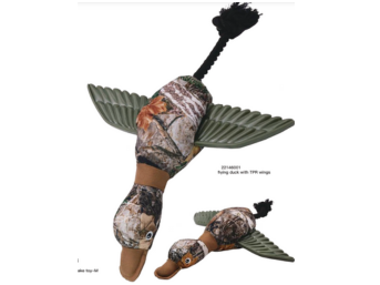 Bộ truyện Jungle 